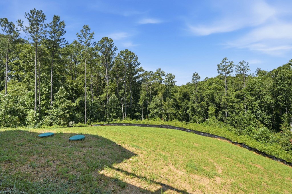 2956 Blalock Mountain Road