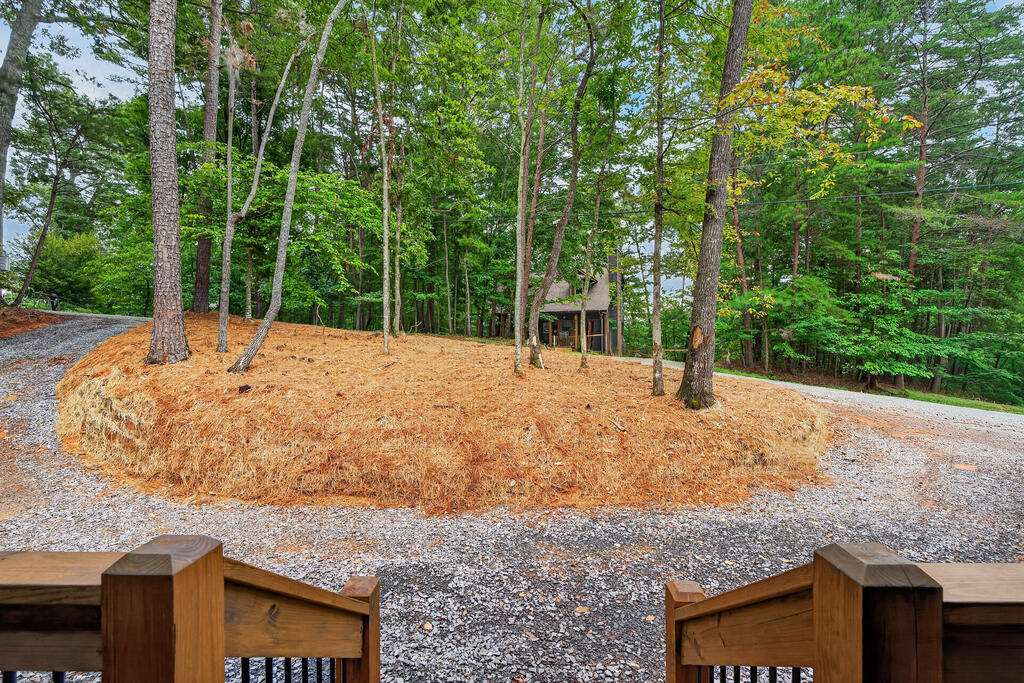 579 Julep Court