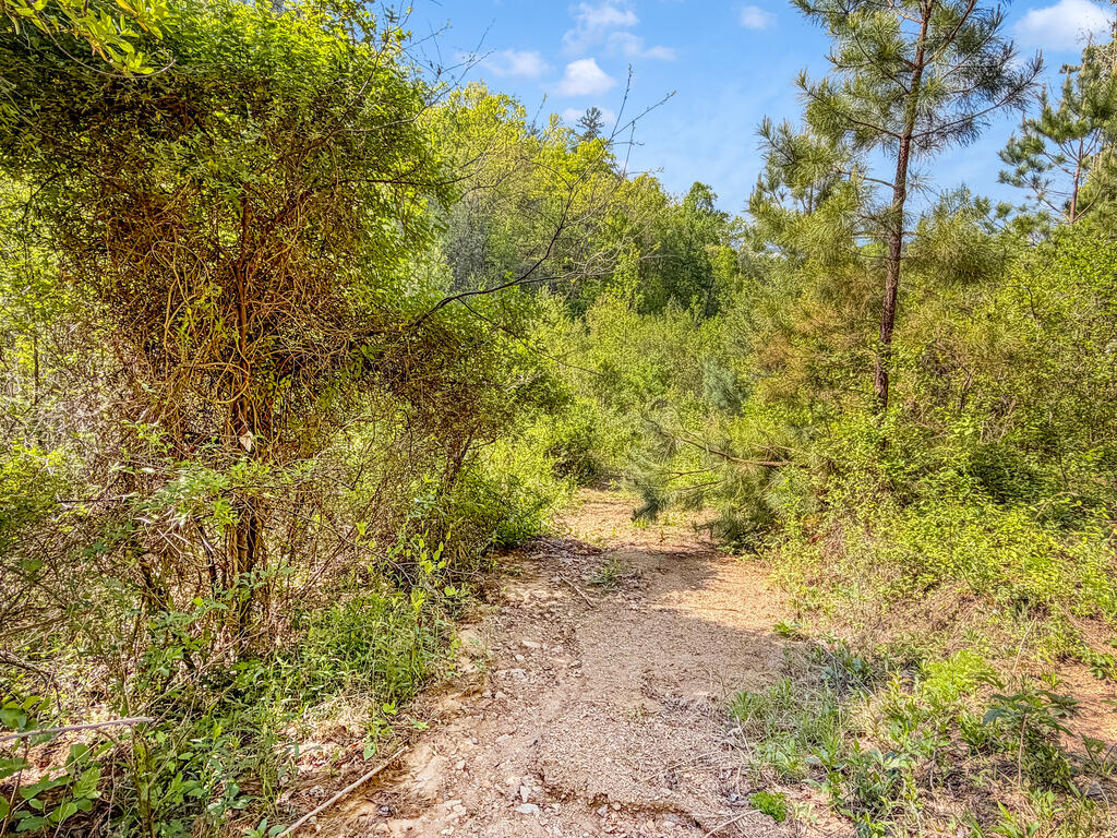 40 AC #1 Valley Lake Road