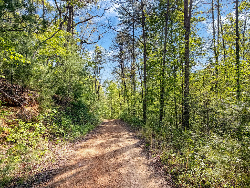 40 AC #1 Valley Lake Road