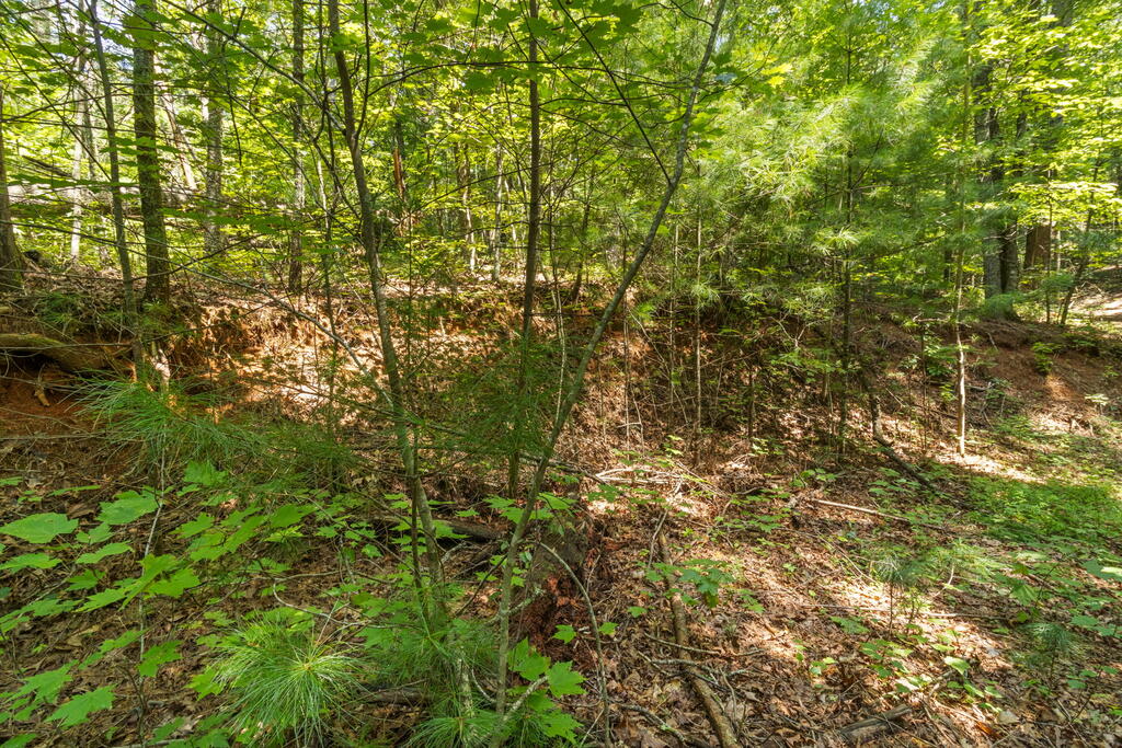 TR 2A Stevens Ridge Road