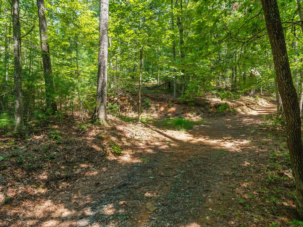 TR 2A Stevens Ridge Road