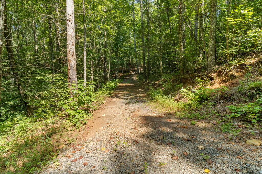 TR 2A Stevens Ridge Road