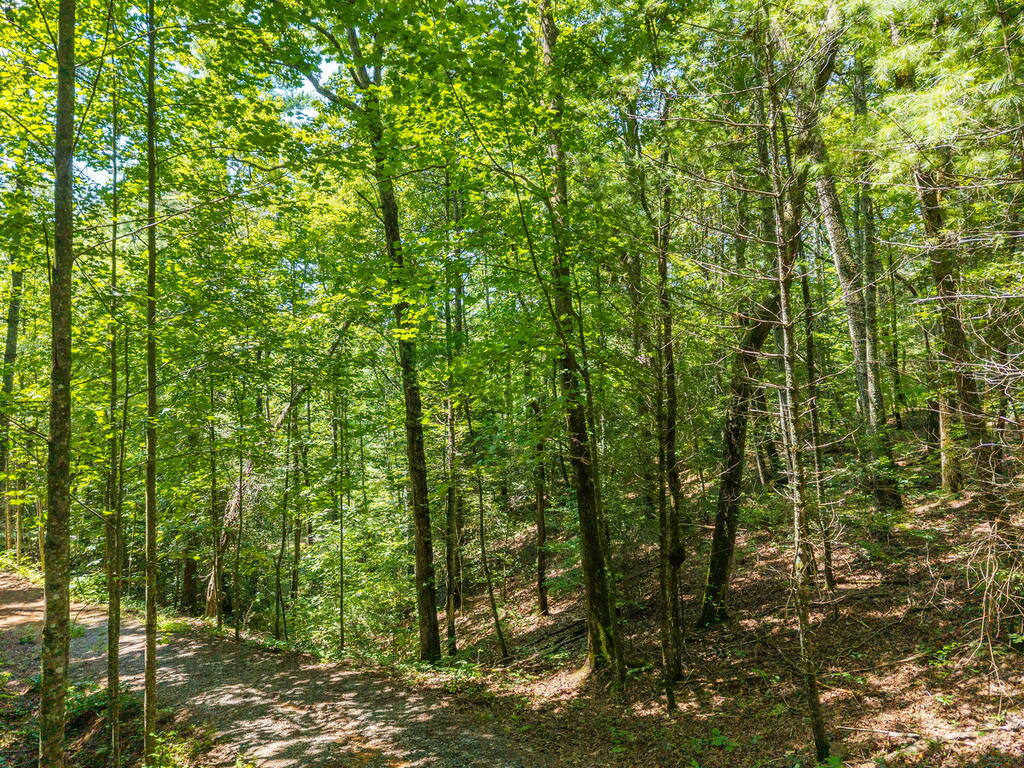TR 2A Stevens Ridge Road