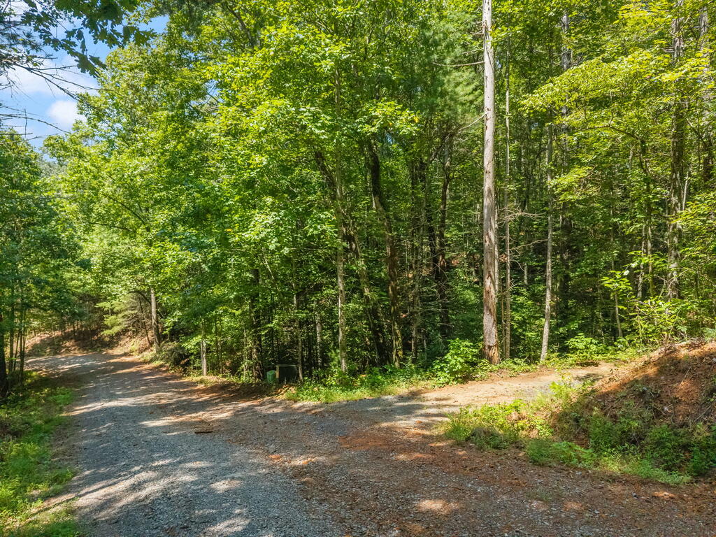 TR 2A Stevens Ridge Road