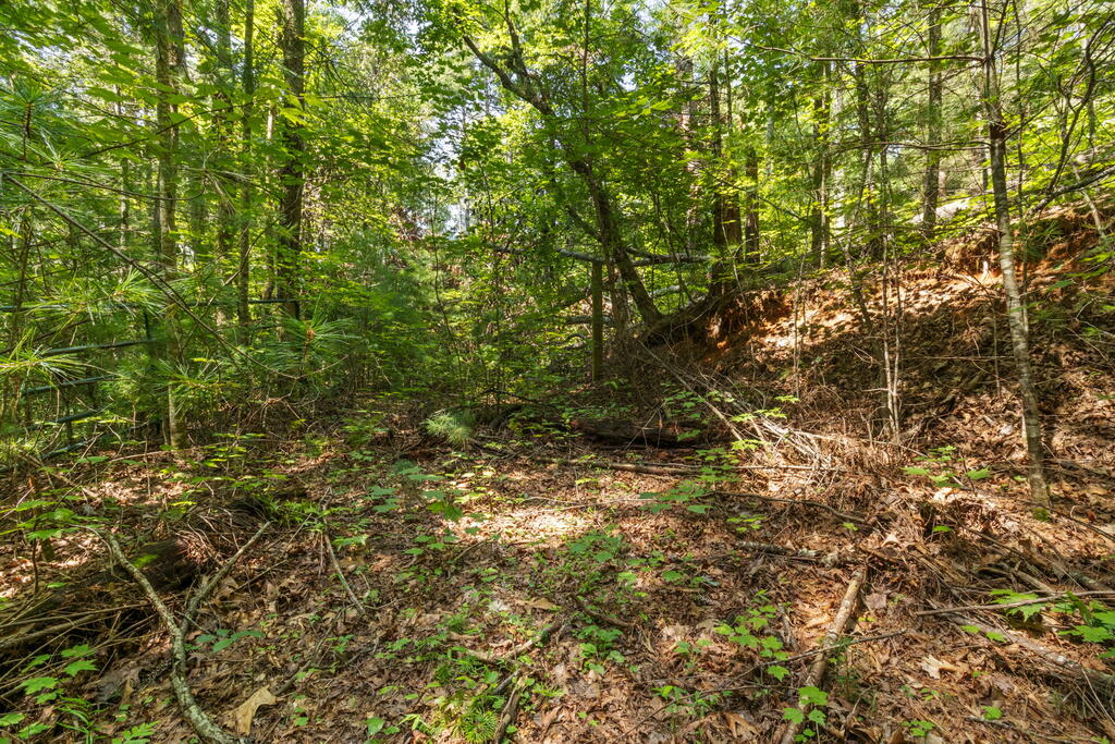 TR 2A Stevens Ridge Road