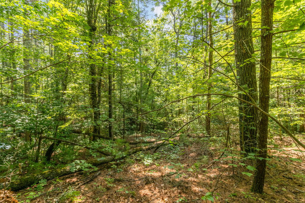 TR 2A Stevens Ridge Road
