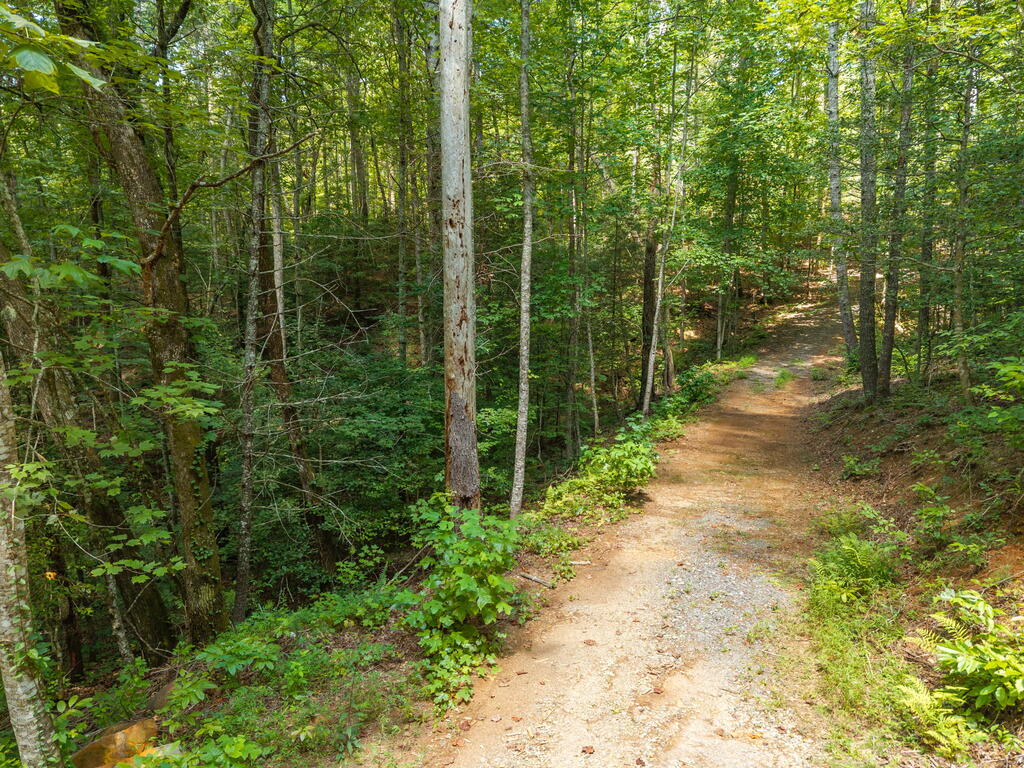 TR 2A Stevens Ridge Road
