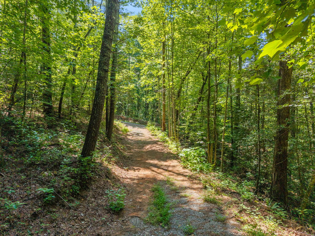 TR 2A Stevens Ridge Road