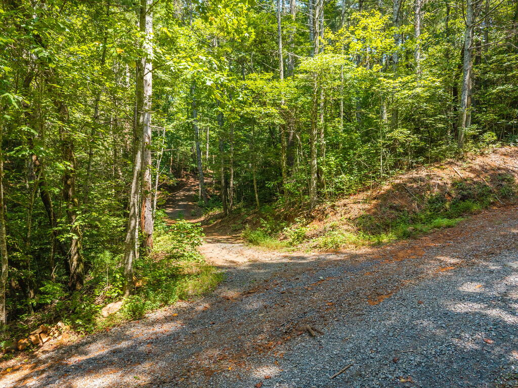 TR 2A Stevens Ridge Road