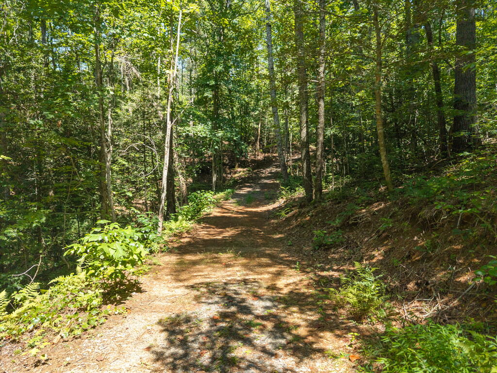 TR 2A Stevens Ridge Road