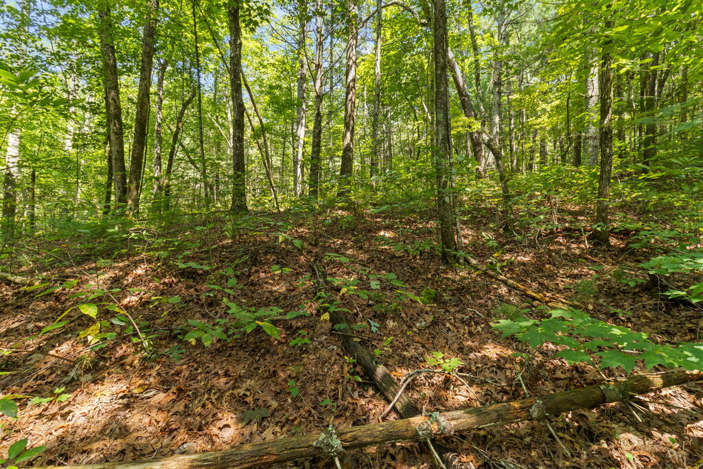TR 2A Stevens Ridge Road