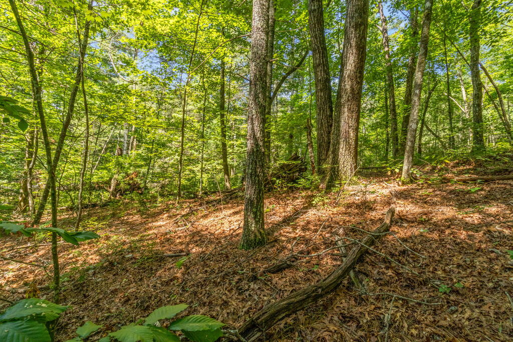 TR 2A Stevens Ridge Road