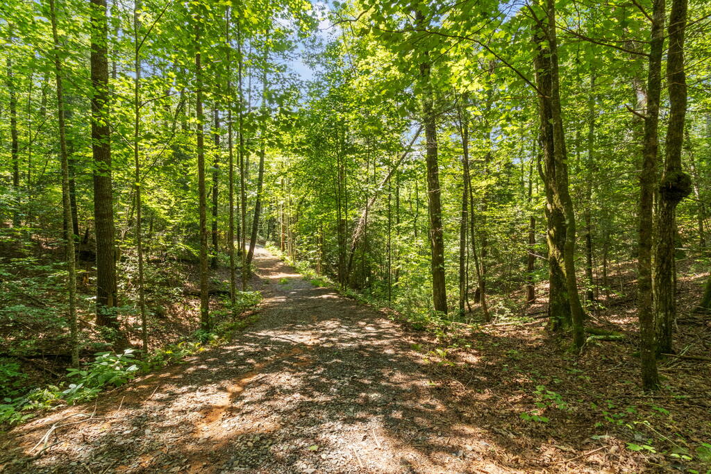 TR 2A Stevens Ridge Road