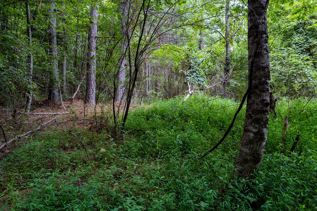 13.59 AC Ridgeway Church Road