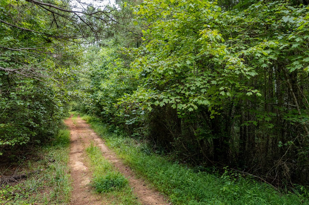 13.59 AC Ridgeway Church Road