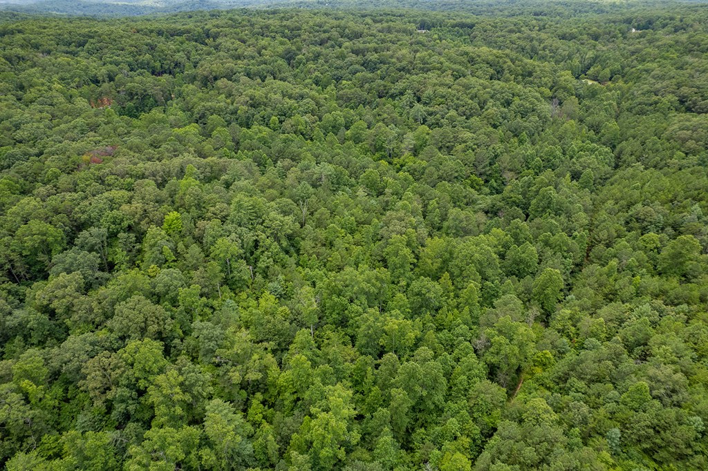 13.59 AC Ridgeway Church Road