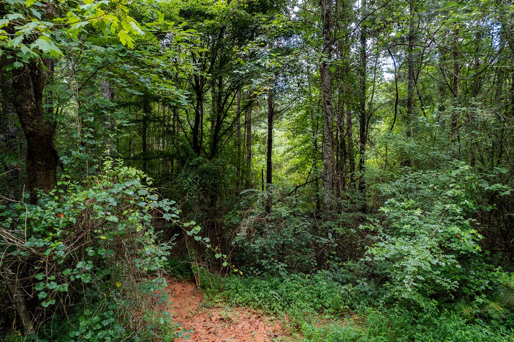 13.59 AC Ridgeway Church Road