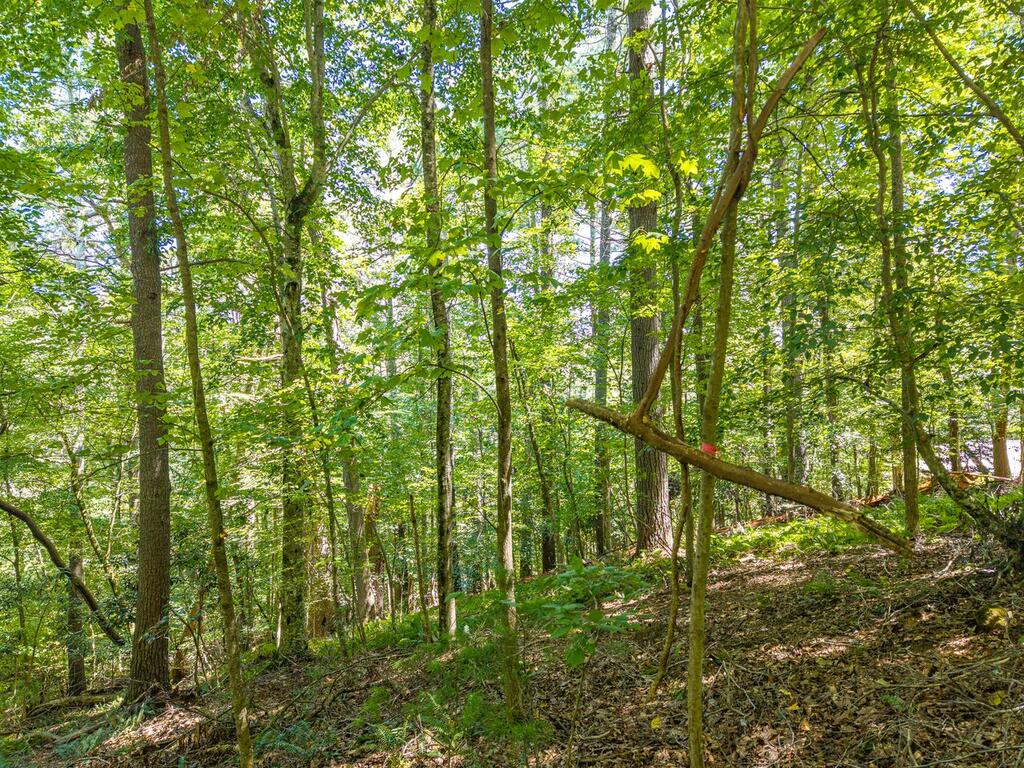Lot 100 River Oaks Terrace