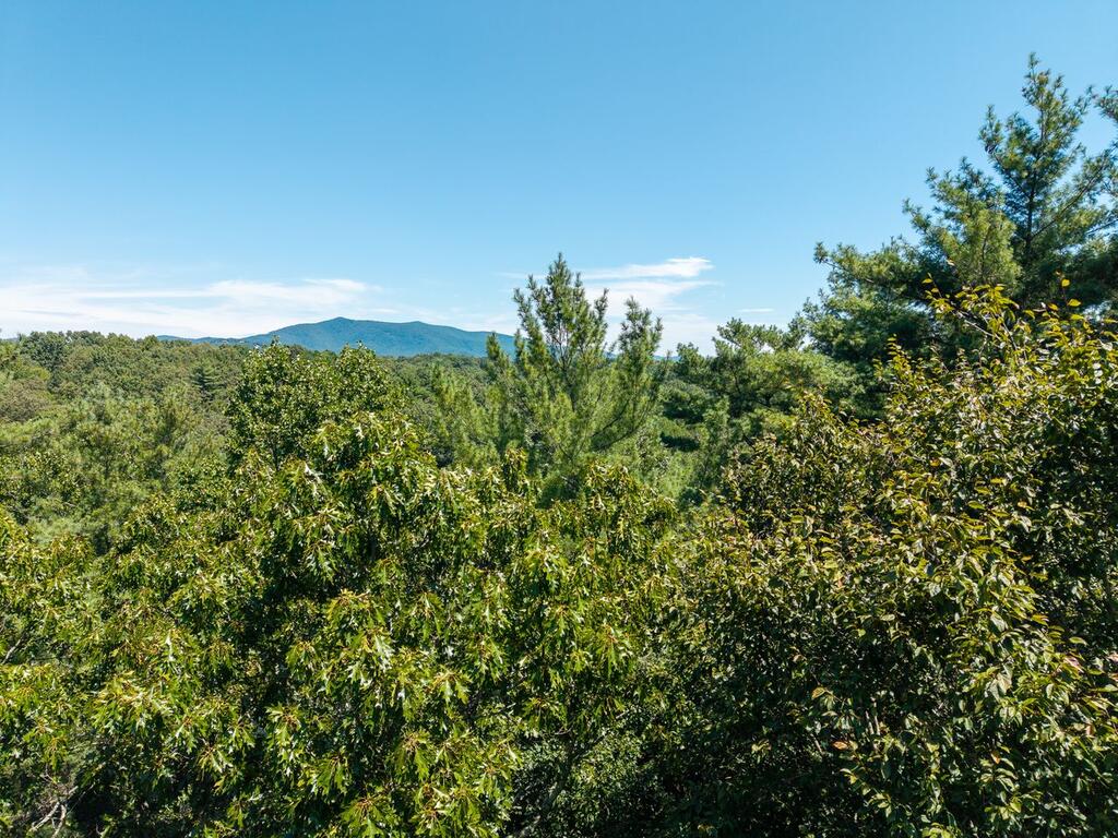 Lot 100 River Oaks Terrace