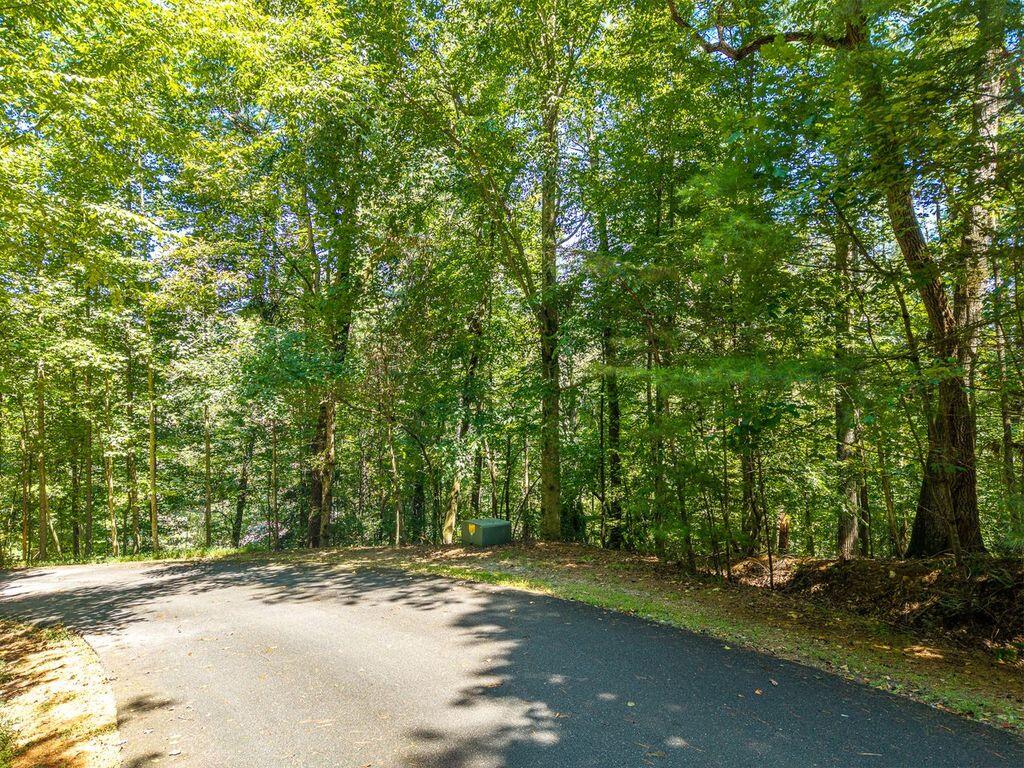 Lot 100 River Oaks Terrace