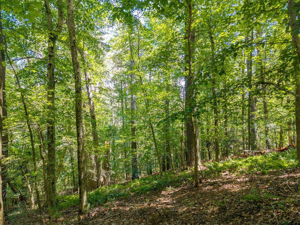 Lot 100 River Oaks Terrace