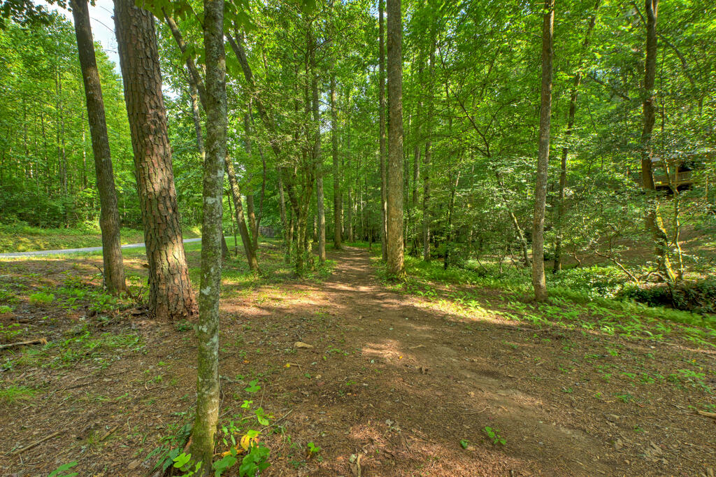 685 Chopped Oak Road