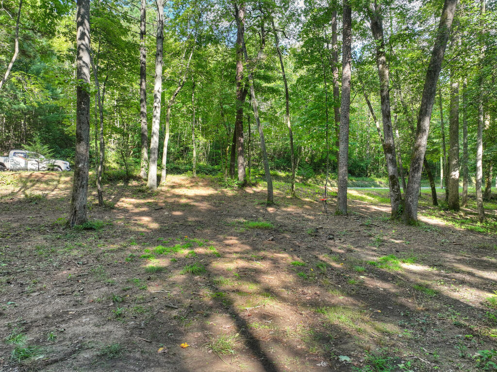 685 Chopped Oak Road