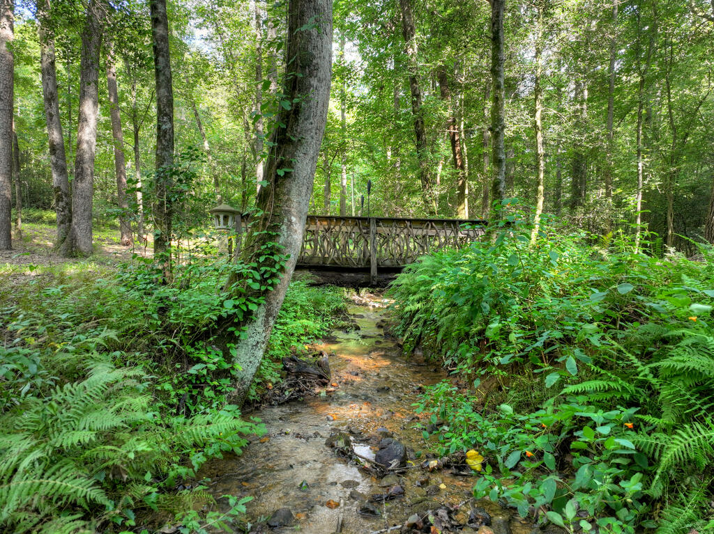 685 Chopped Oak Road