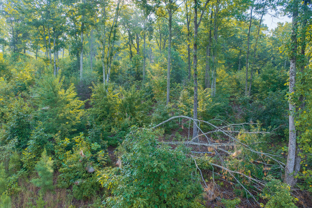 Lot 191 Oak Park Drive