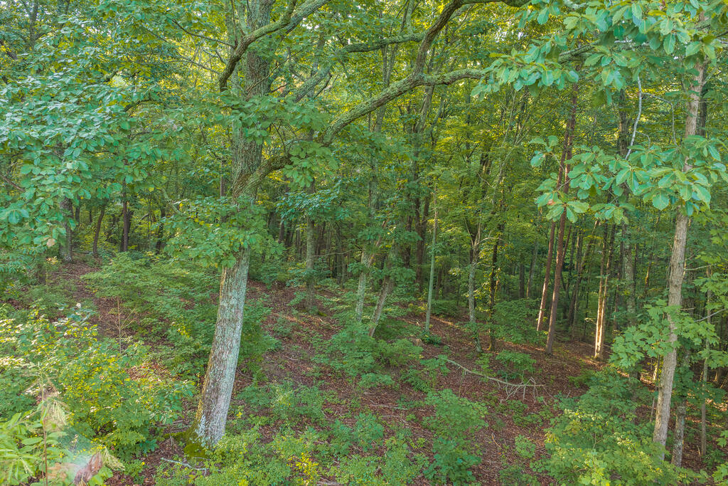 Lot 191 Oak Park Drive