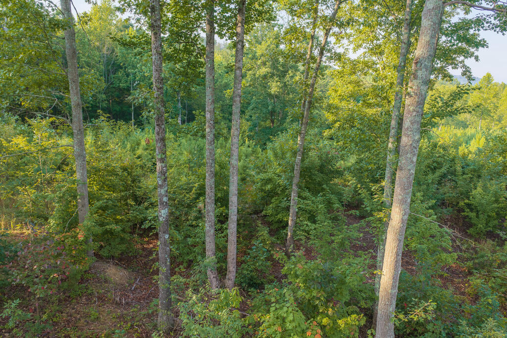 Lot 191 Oak Park Drive