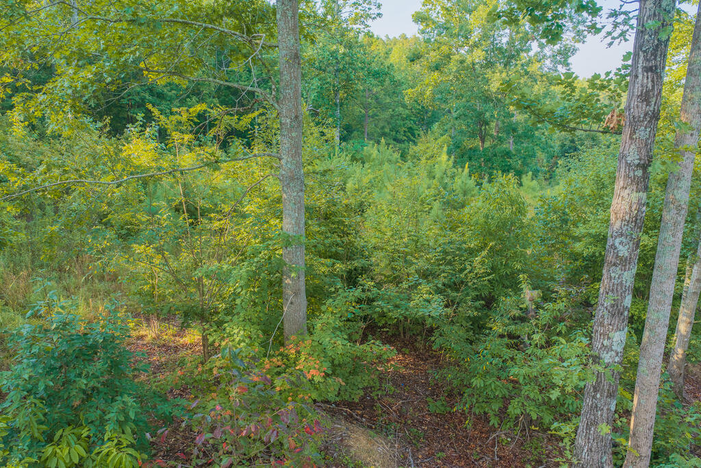 Lot 191 Oak Park Drive