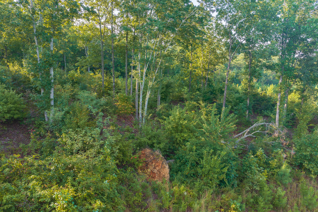 Lot 191 Oak Park Drive
