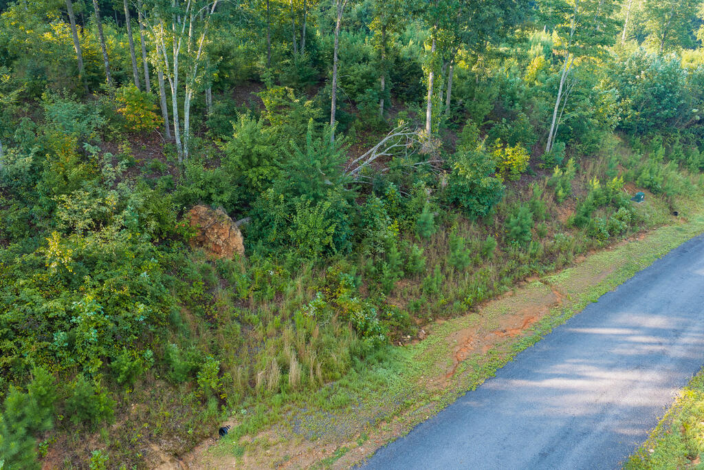 Lot 191 Oak Park Drive