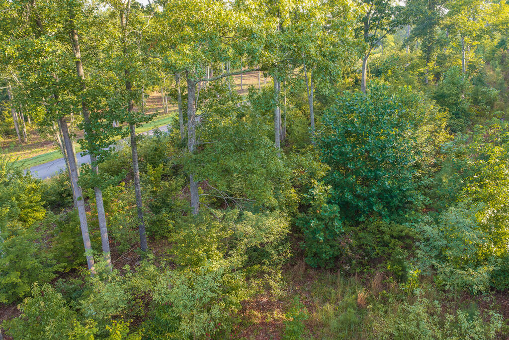 Lot 191 Oak Park Drive