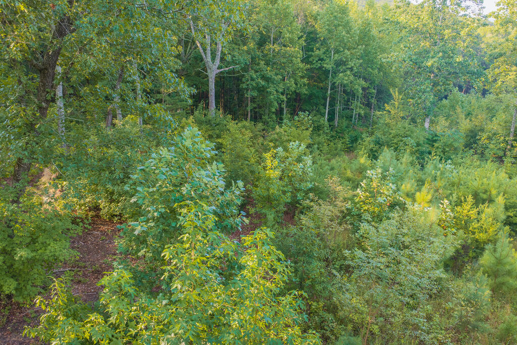 Lot 191 Oak Park Drive