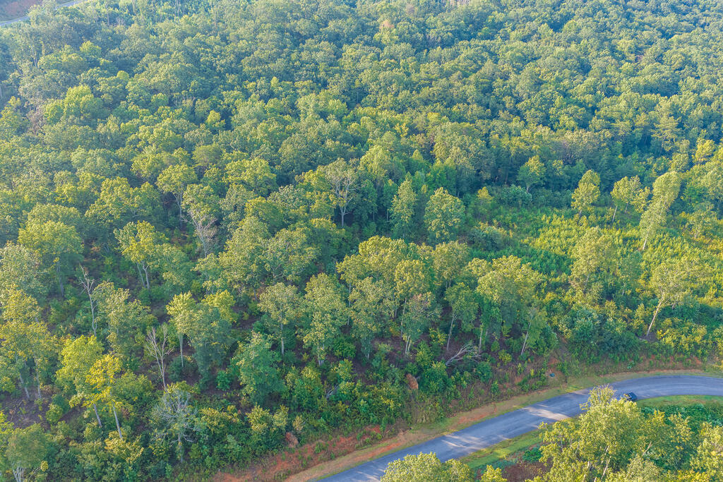 Lot 191 Oak Park Drive