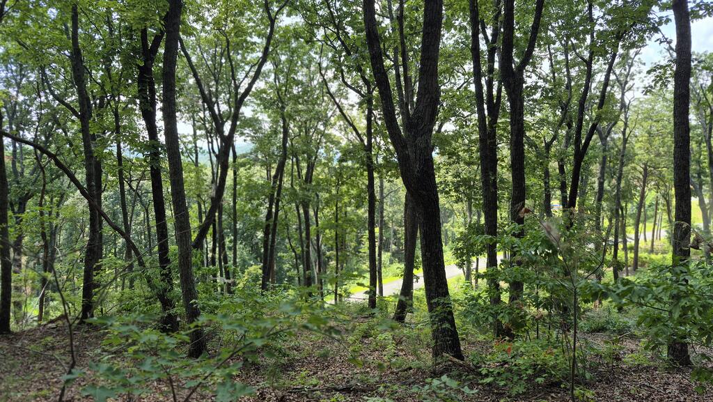 1.5Acres High Summit Drive