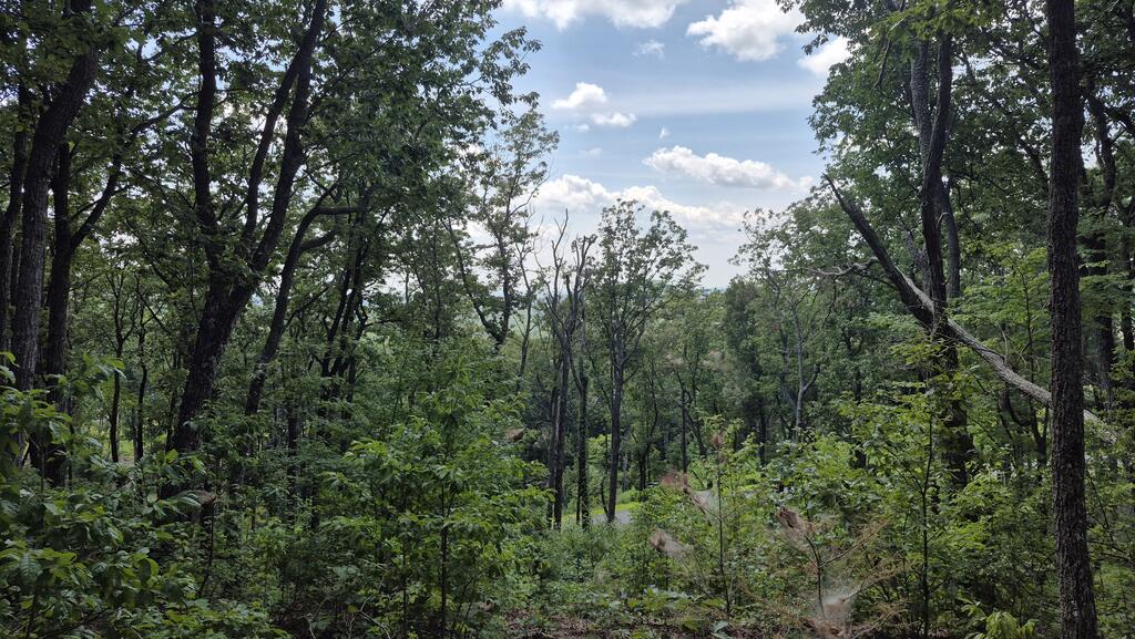 1.5Acres High Summit Drive