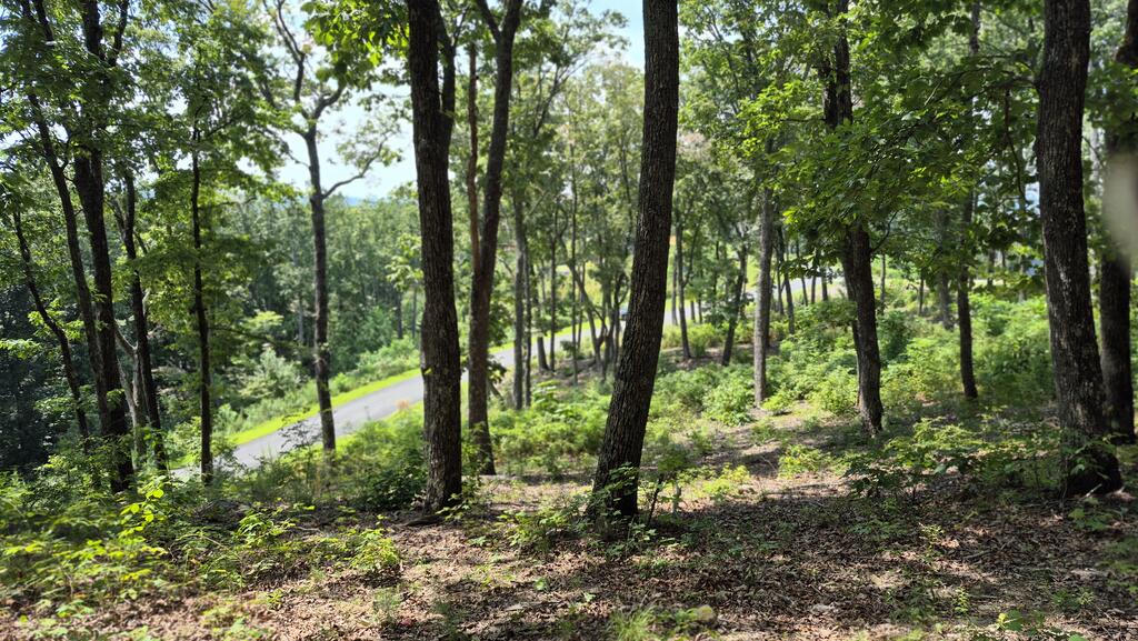 1.5Acres High Summit Drive