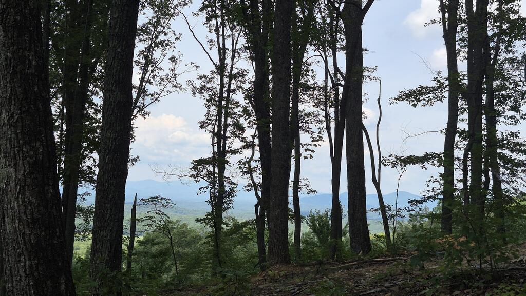 1.5Acres High Summit Drive