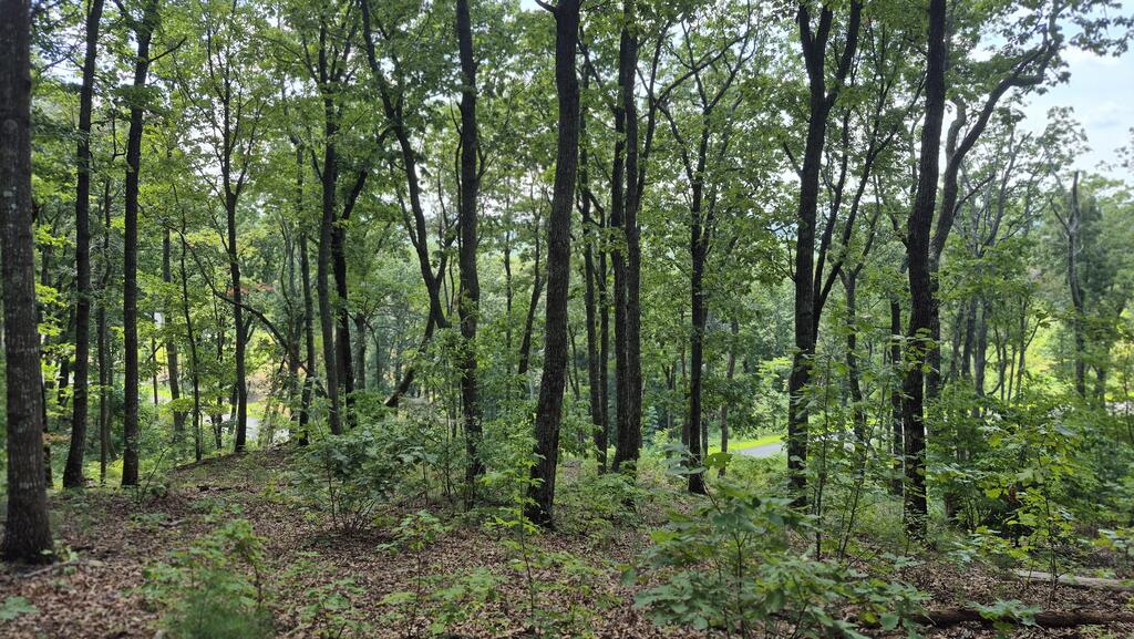 1.5Acres High Summit Drive