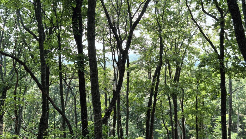 1.5Acres High Summit Drive