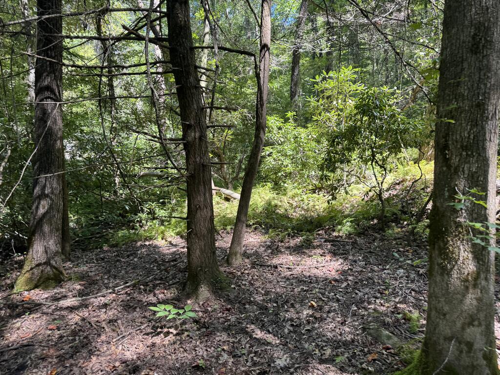 0 Laurel Ridge Drive