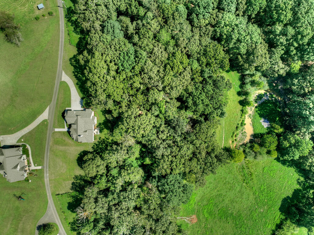 2703 Hwy 382w