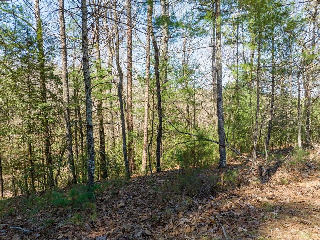 Lot 164 Shenendoa Drive