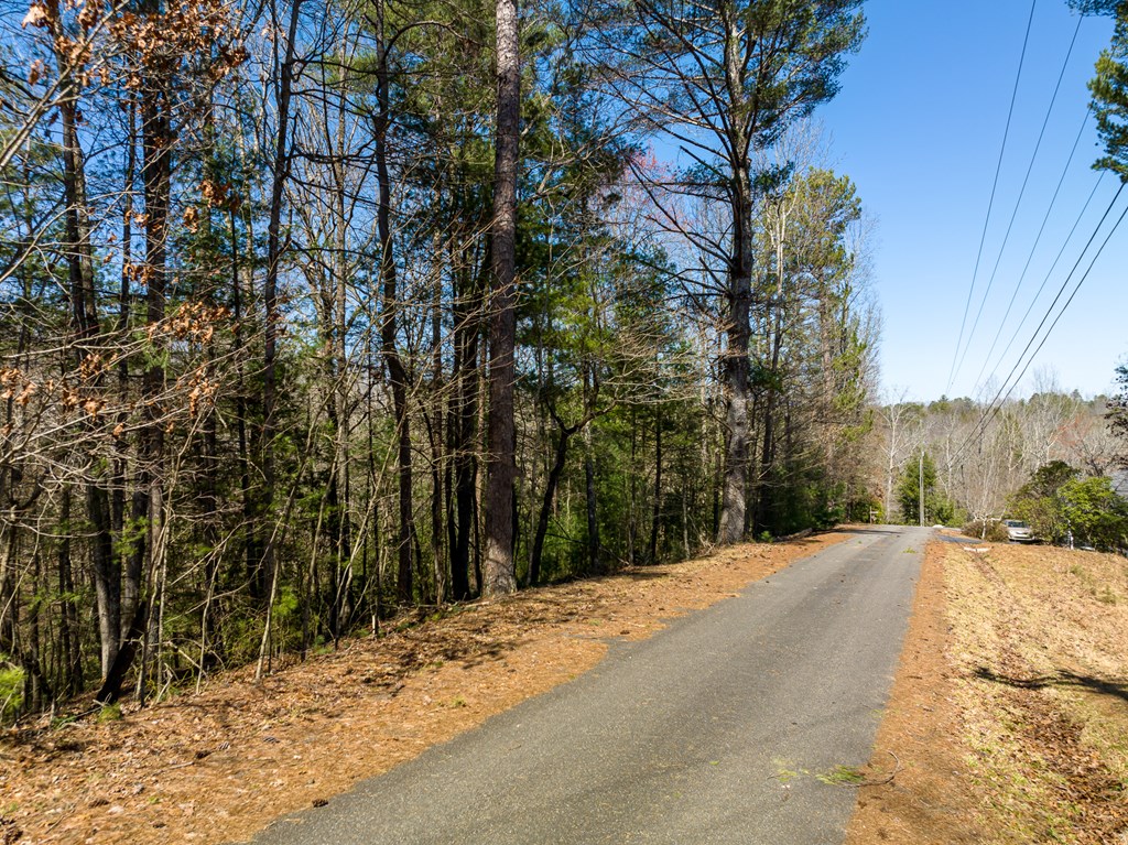 Lot 164 Shenendoa Drive