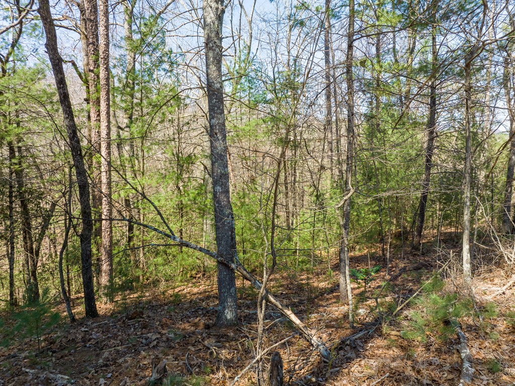 Lot 164 Shenendoa Drive