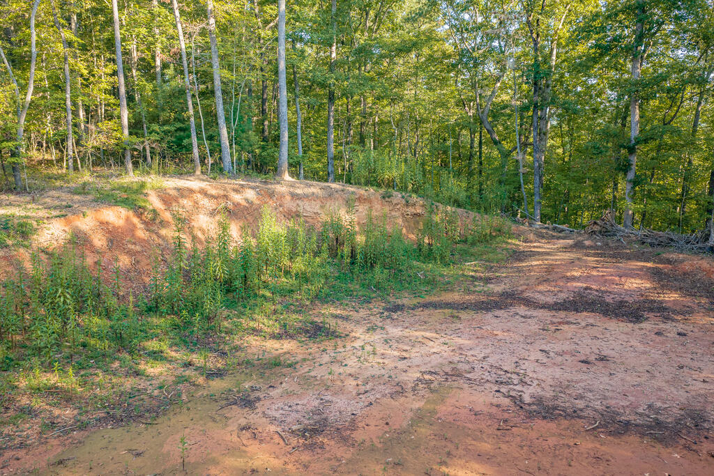 Lot 1905 Finale Street